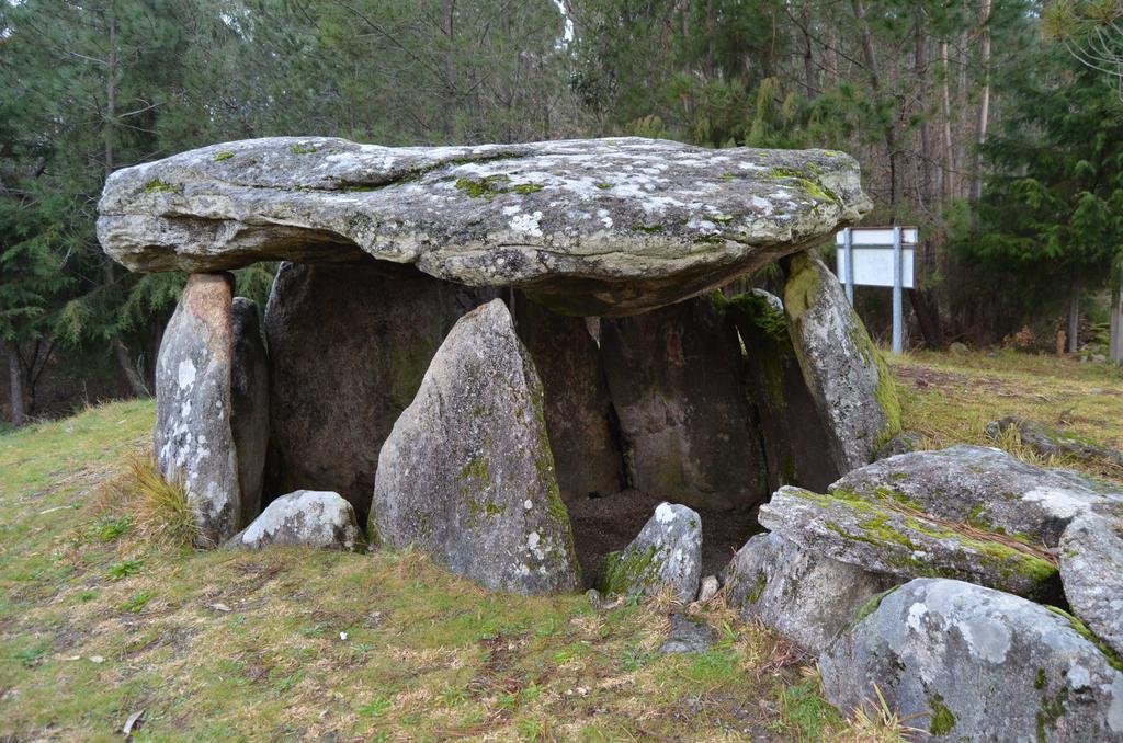 Villa De Paco Sever do Vouga Exteriör bild