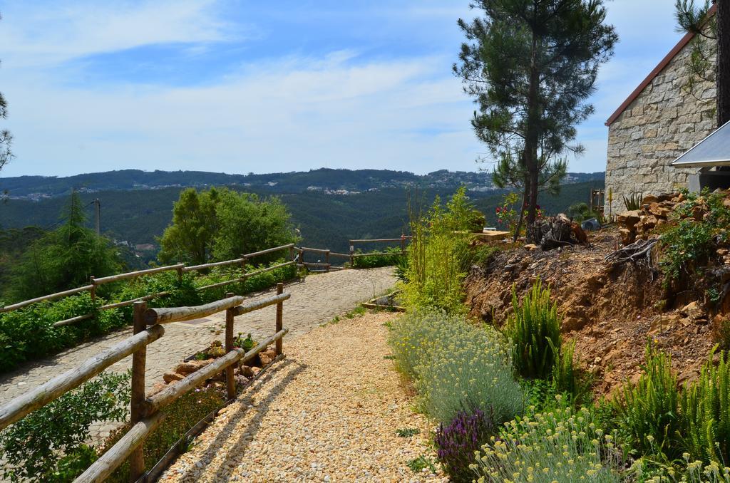 Villa De Paco Sever do Vouga Exteriör bild