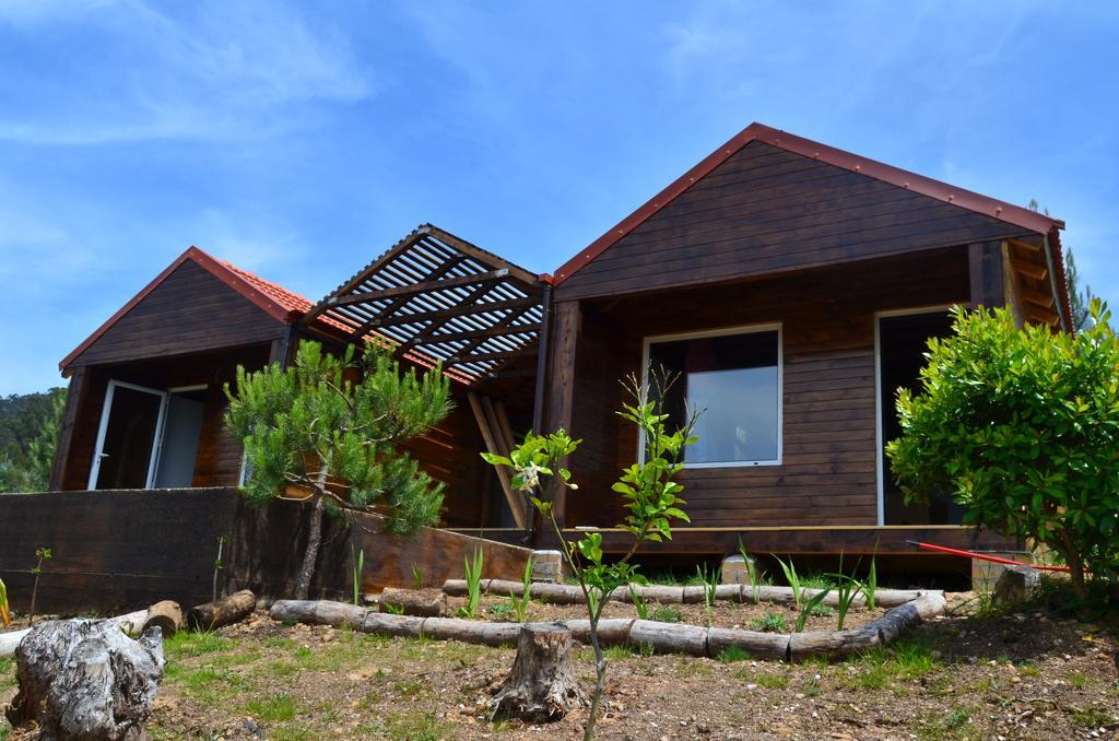 Villa De Paco Sever do Vouga Exteriör bild