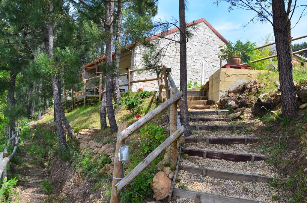Villa De Paco Sever do Vouga Exteriör bild