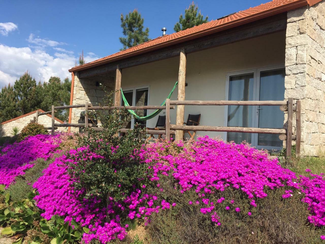 Villa De Paco Sever do Vouga Exteriör bild