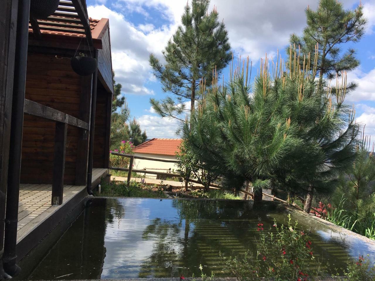 Villa De Paco Sever do Vouga Exteriör bild